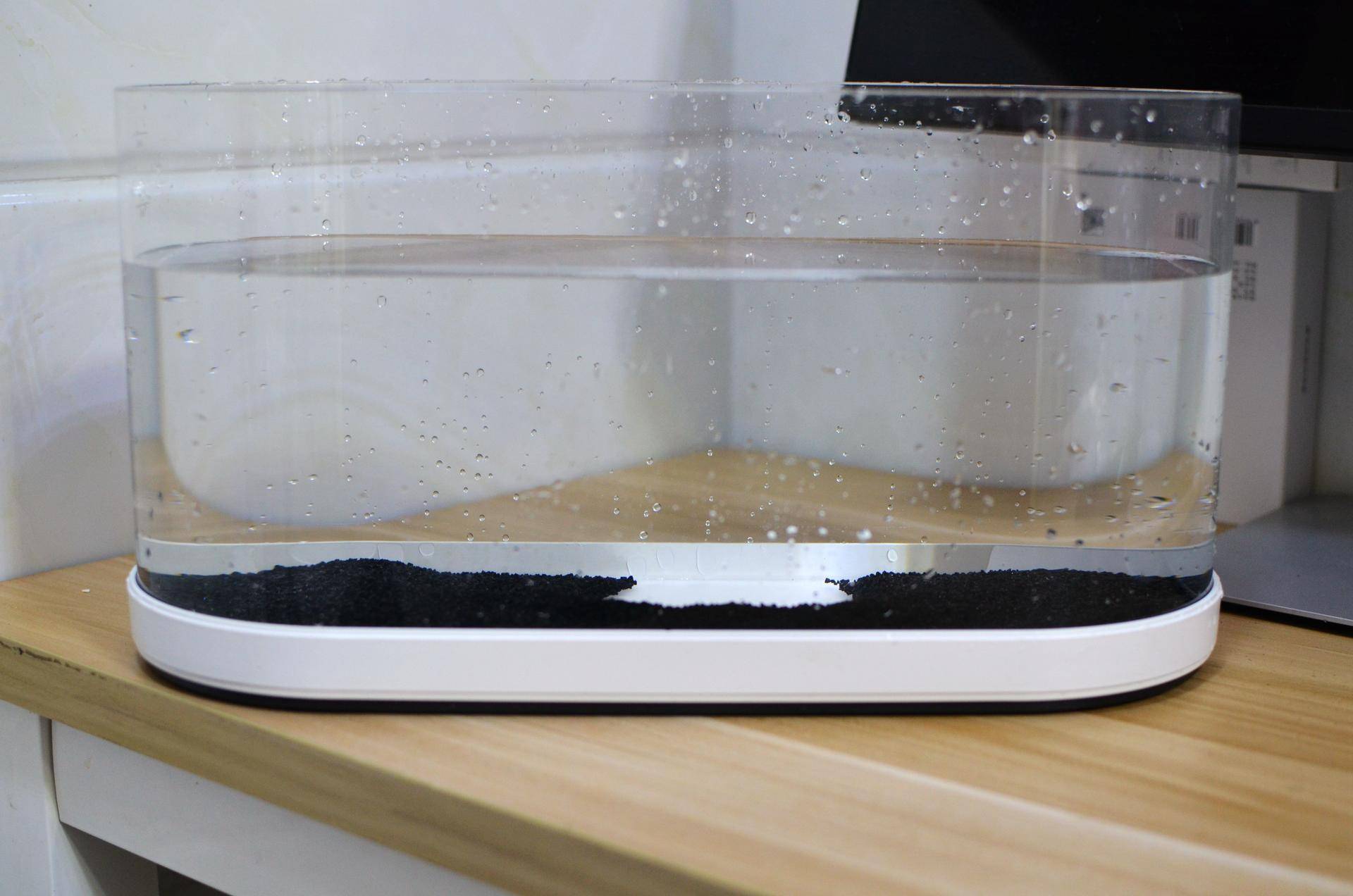 懒人鱼缸养鱼,懒人能养鱼吗