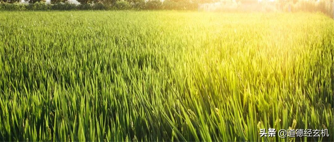 人散聚财财聚人散什么意思,易经有财不外露