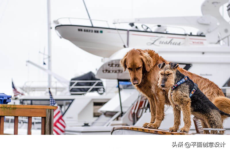 ps抠图还是cdr抠图,ps抠图教程手机可以抠图吗