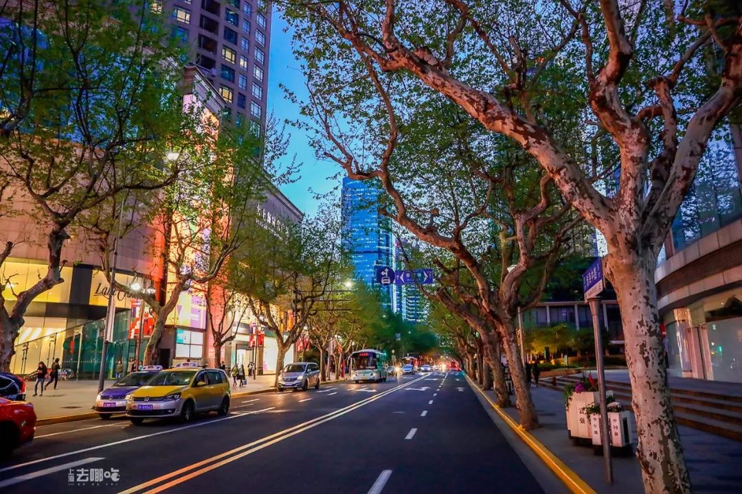 立秋，立秋！这43件事，上海人必须要去做