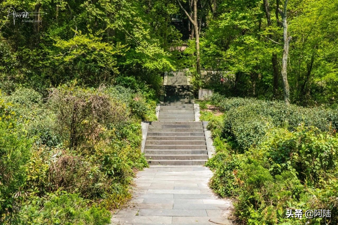 杭州虎跑泉水,杭州虎跑泉旅游攻略