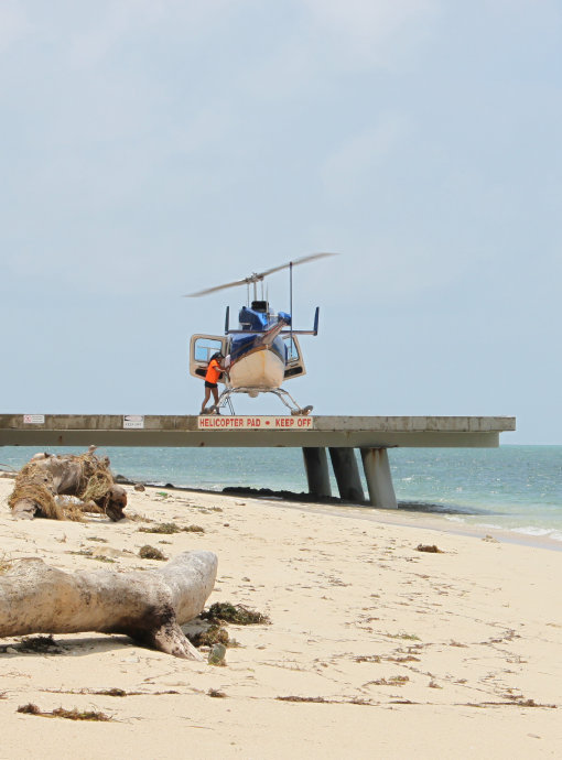 澶у牎绀佺儹姘旂悆,澶у牎绀佹捣娲嬬悆