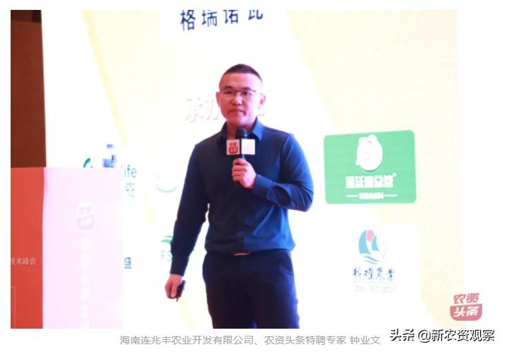 海南哈密瓜大市场,海南哈密瓜市场前景