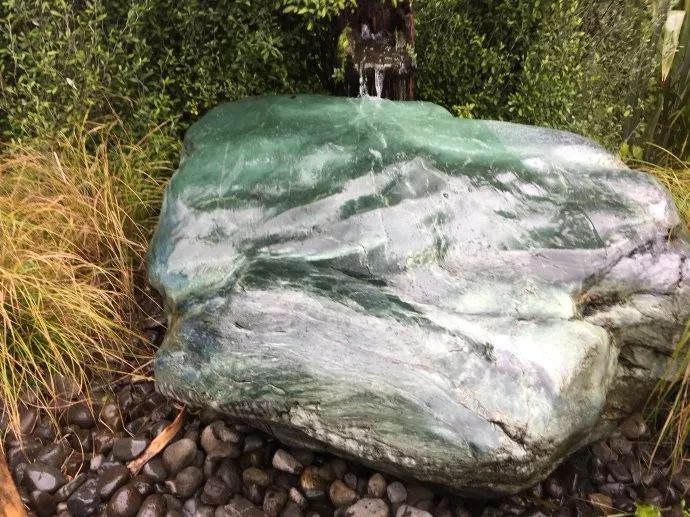 难忘的新西兰之行,在新西兰难忘的日子