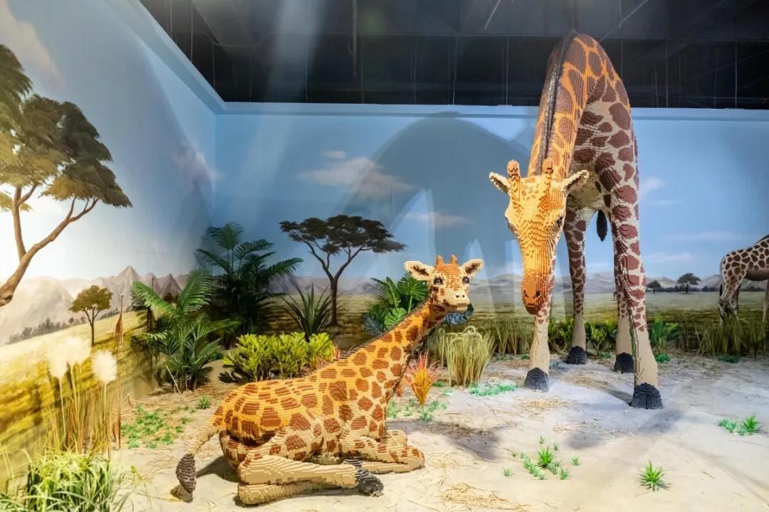 十大热门亲子乐园深圳,斥资两亿的游乐园