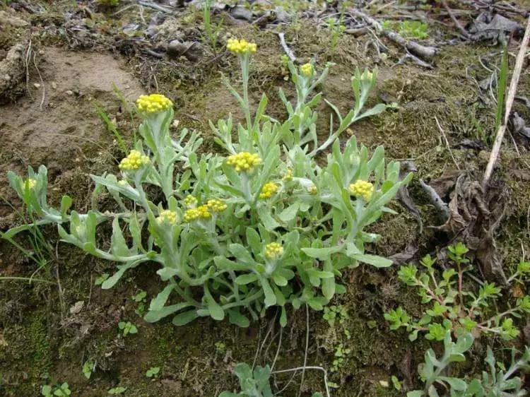 杩欏氨鏄箍涓滀汉鍘熺増,杩欏氨鏄槬鑺傚洖瀹剁殑鐞嗙敱