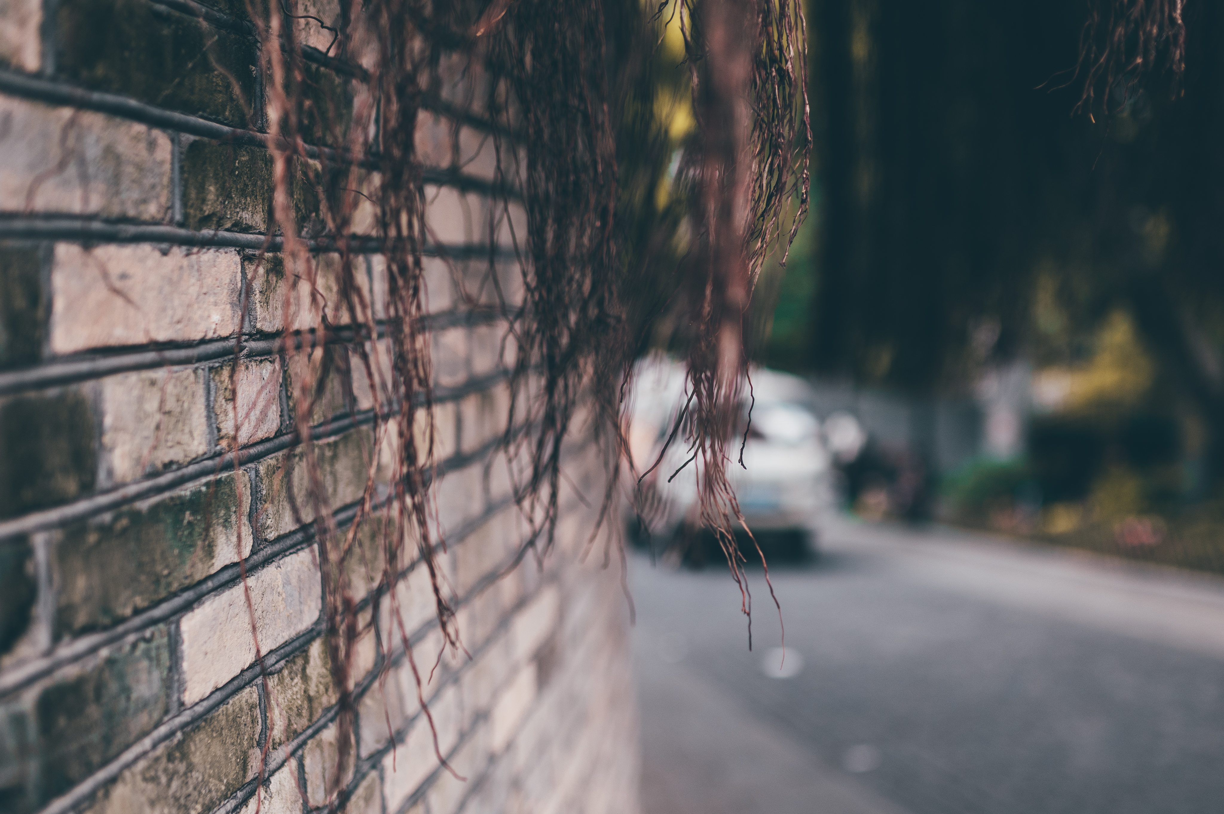 烟台山商业漫步街区套票,烟台山商业漫步街区餐厅