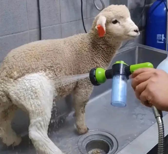 脚臭的女孩颜值高吗,长得好看的女生都有狐臭吗