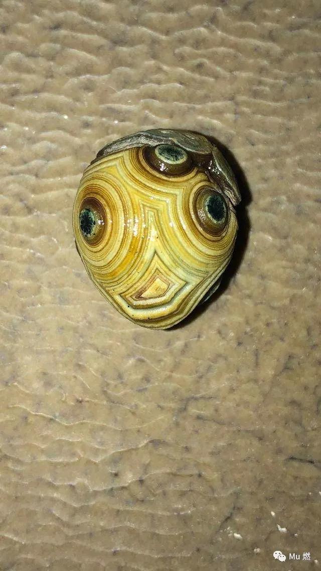 品石之路一百二十六章,品石之路小说完整版