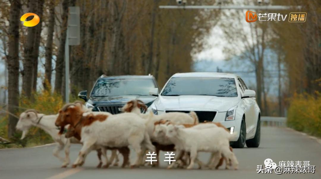 ​这是扶贫剧？开玩笑的吧…