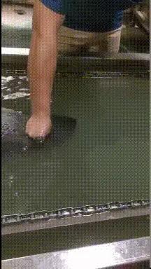 搞笑gif趣图这只狗狗是不是开挂了,搞笑gif趣图乌龟泼猴你别推我