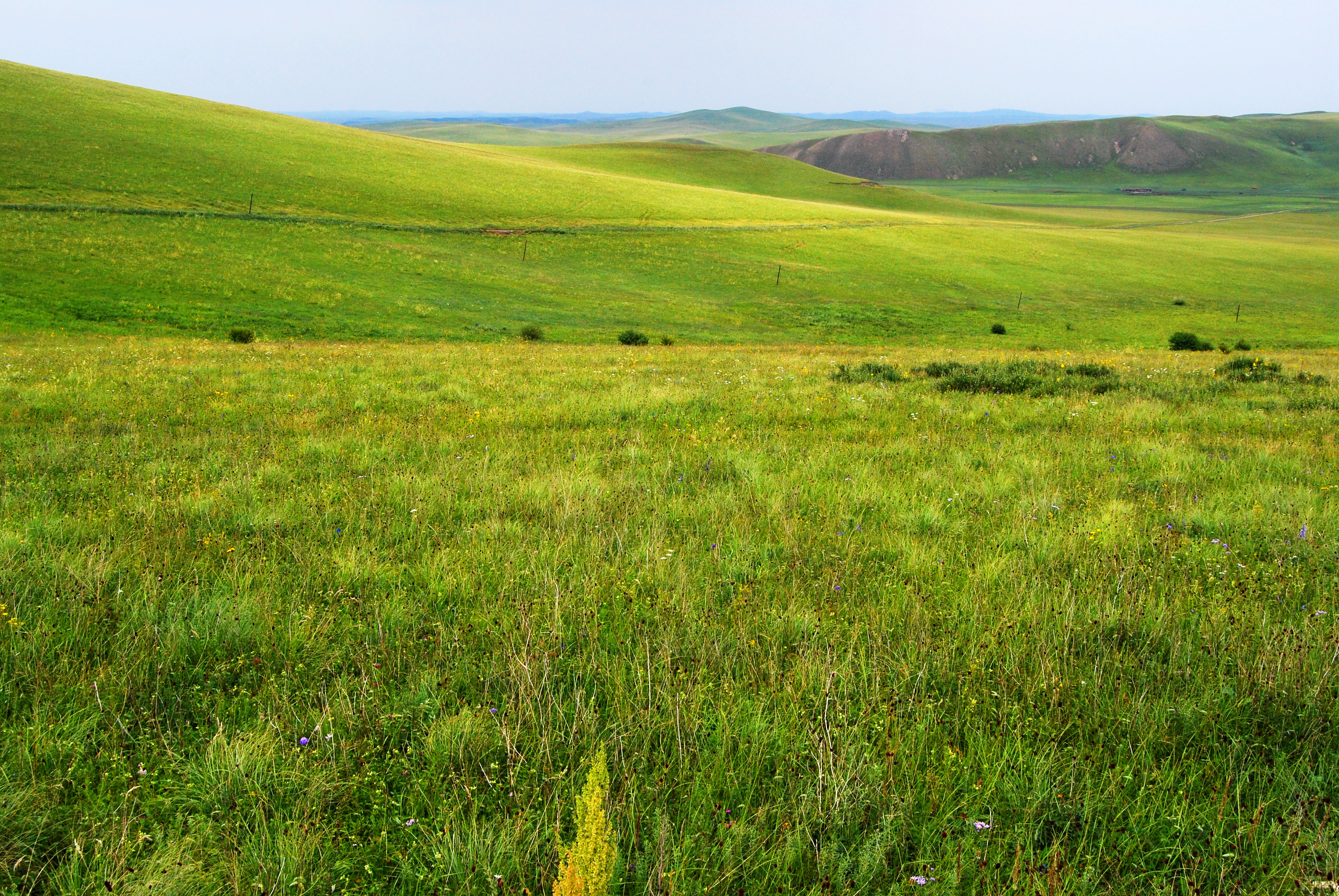 一辆车，从东乌旗沿中蒙边境公路到阿尔山，漫长边关寻迹历史遗存