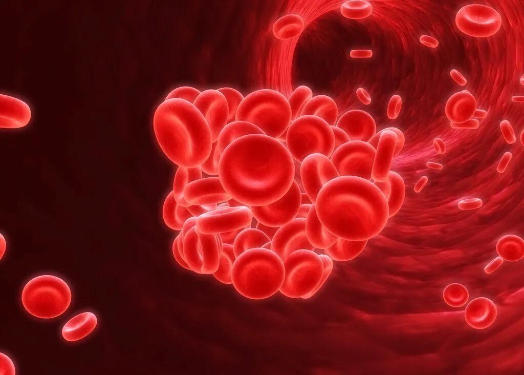 胆红素正常转氨酶高会是肝衰竭么,胆红素升高引发肝性脑病和黄疸