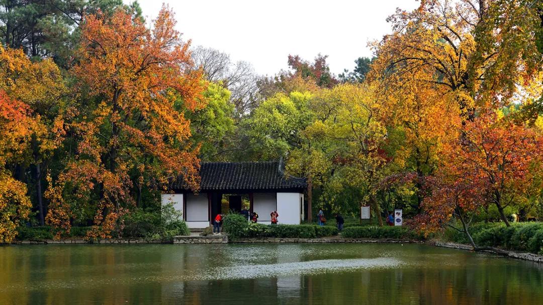 你的发型决定你穿衣风格,你适合弄什么发型