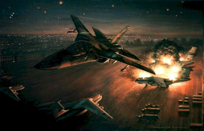 f14雄猫最帅飞行员,f-14雄猫战斗机的魅力无人能敌