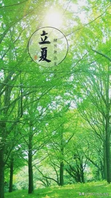 散文夏天雨后的早晨,散文夏天的雨图片