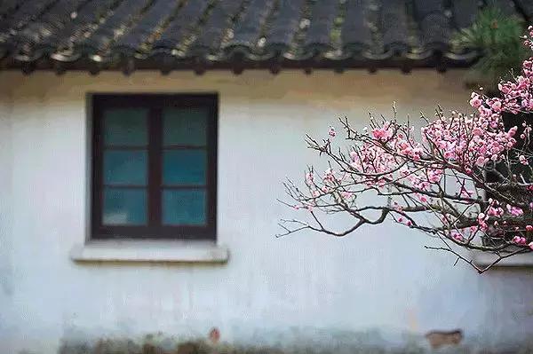 中国最美的书赏析,中国最美的十本书