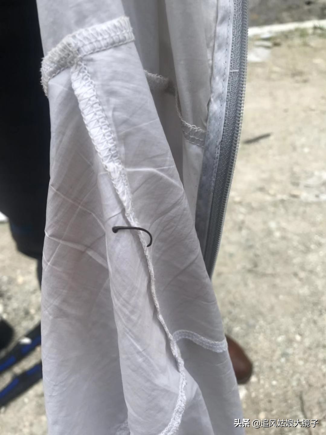 穿越到原始森林里面,穿越原始森林来种田