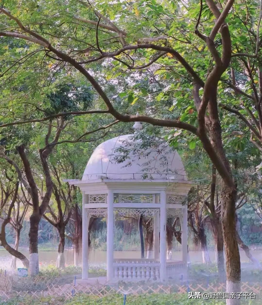 广州遛娃出游,广州遛娃3-4天攻略