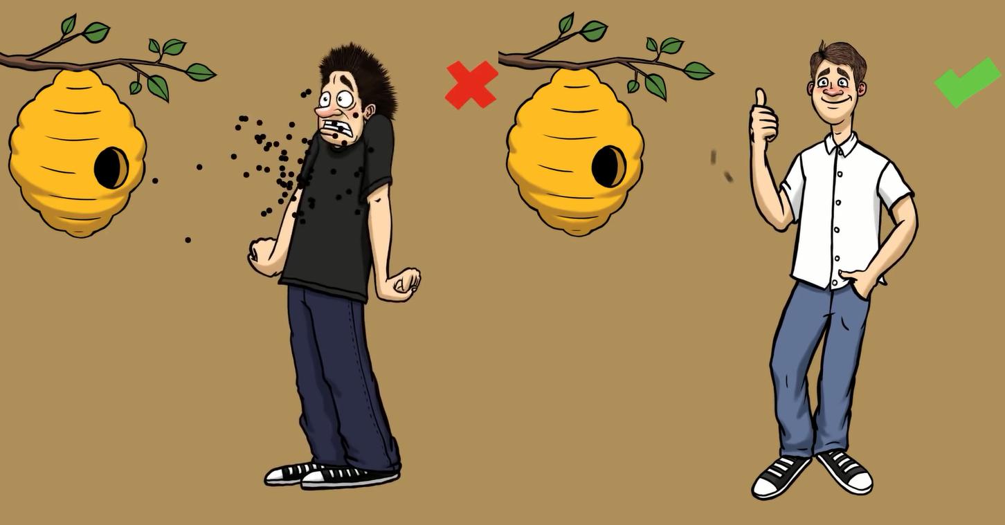 野外遇到大型动物如何自救,如果在野外遇到危险动物该怎么办