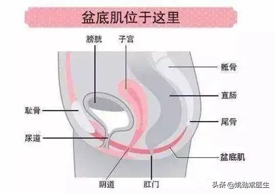 排便无规律该怎么办,大便失禁锻炼方法