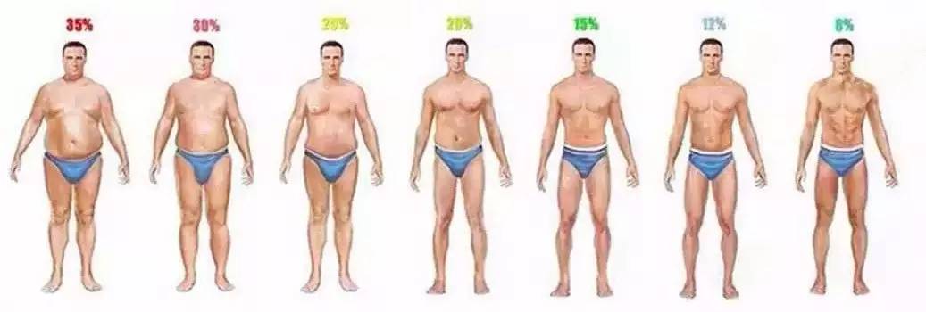 身高172厘米体重92bmi是多少,身高体重指数bmi的计算方法是