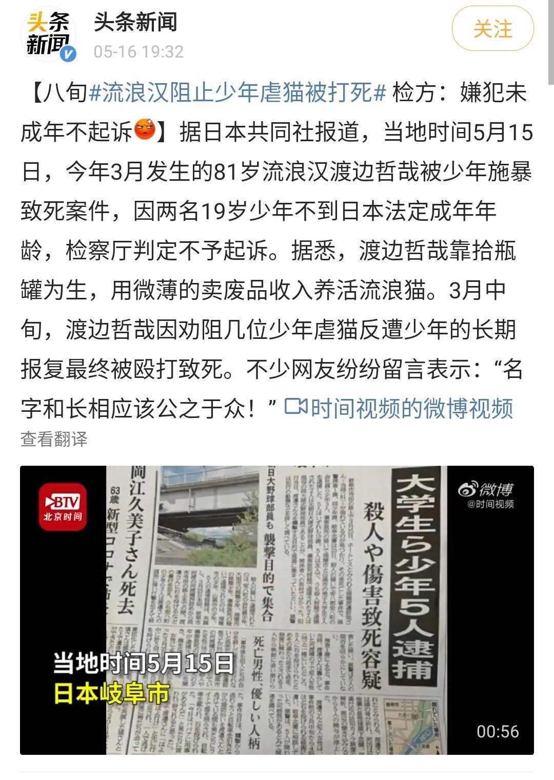 大学生杀死流浪猫,大学生杀流浪猫