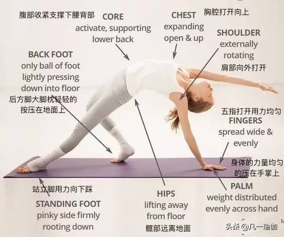 瑜伽练习的基本原则,瑜伽之光讲的什么