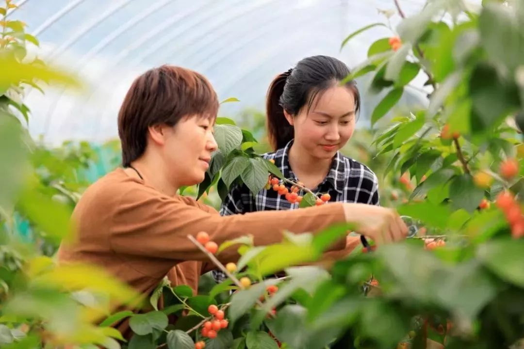 江苏无锡最美乡村前十名,无锡全国农业旅游示范点有哪些