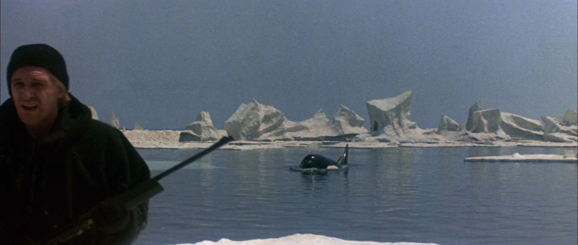 经典的动物灾难电影,推荐几部有关动物灾难方面的电影