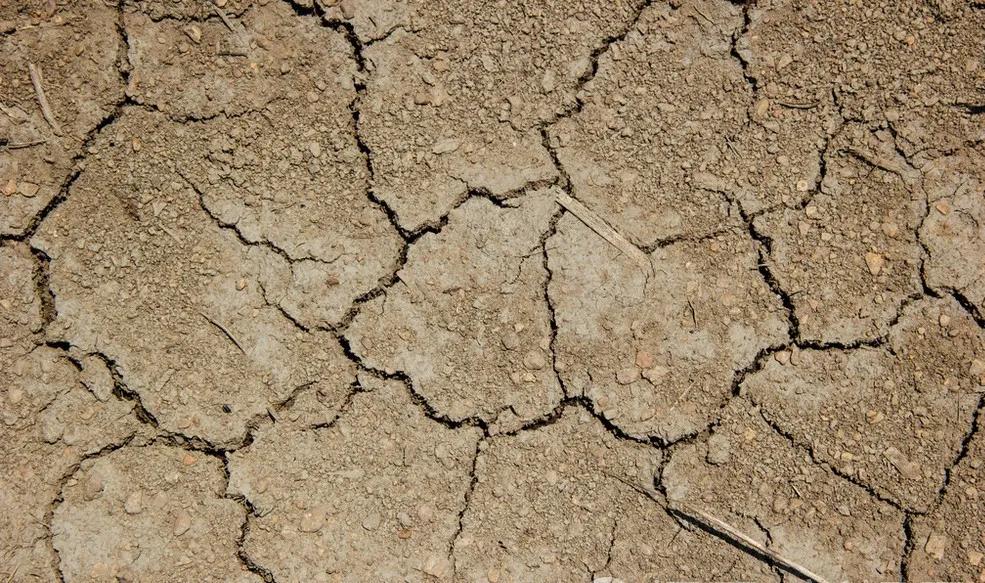 土壤问题严重怎么办？做到这几点，重新焕发土壤活力