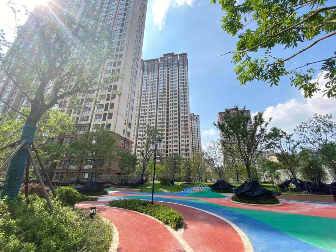 高科，与城市共生长的“城市赋能者”