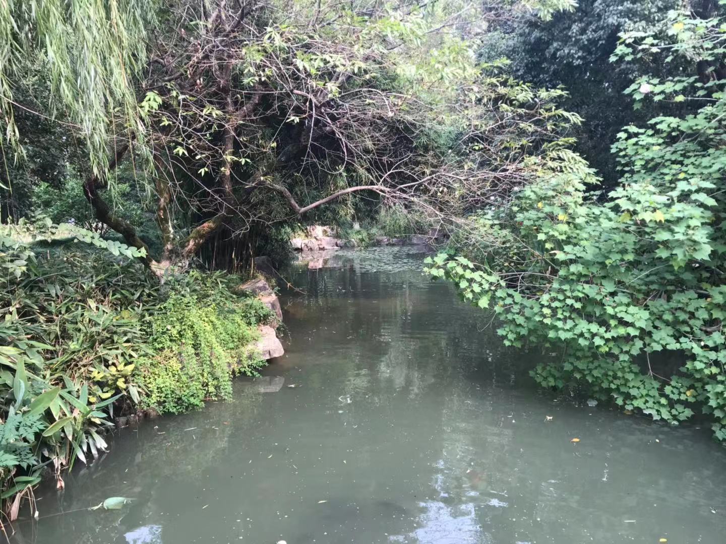 水乡园林之美,园林景观大美呈现