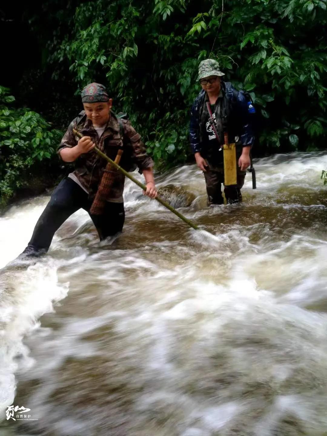 遇见怒江丨这是“我”手机镜头里的贡山风光