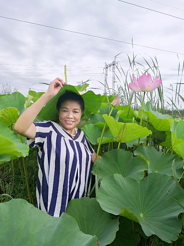 宋金林的书法欣赏,三姐妹书法