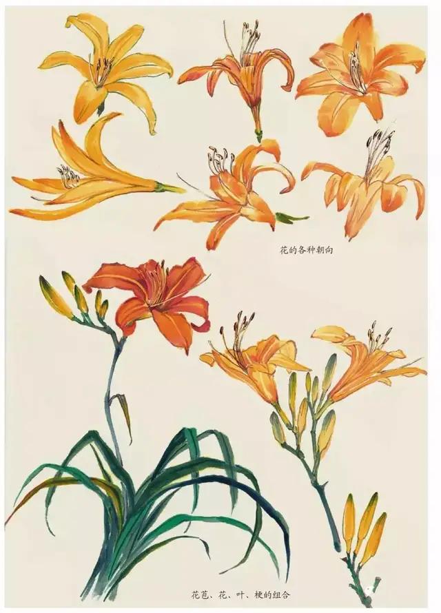 画国画不会画素描,画国画不会山石皴法