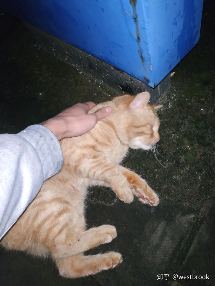 上海交大考研难度一览表,上海交大考研励志