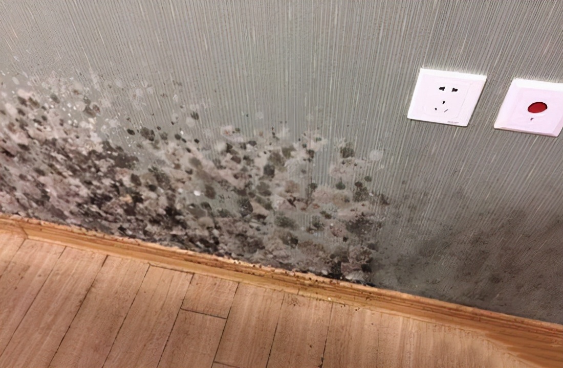 墙布修补后如何防止发霉,防水防潮发霉用墙布还是墙板