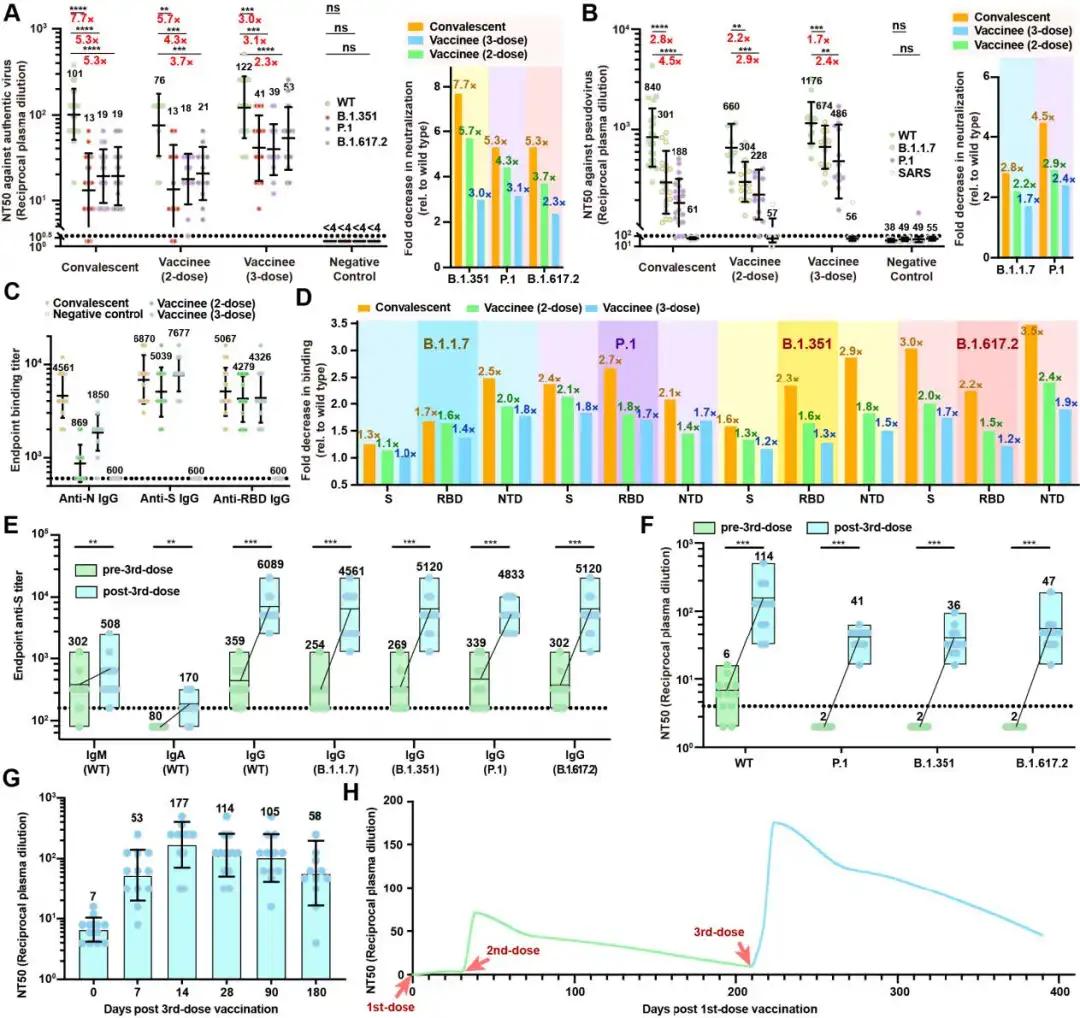 中国研究出抗新冠病毒新药,中国首家新冠治疗药物获批
