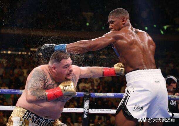 世界重量级四大拳王,世界拳击史上实力最强的十大拳王