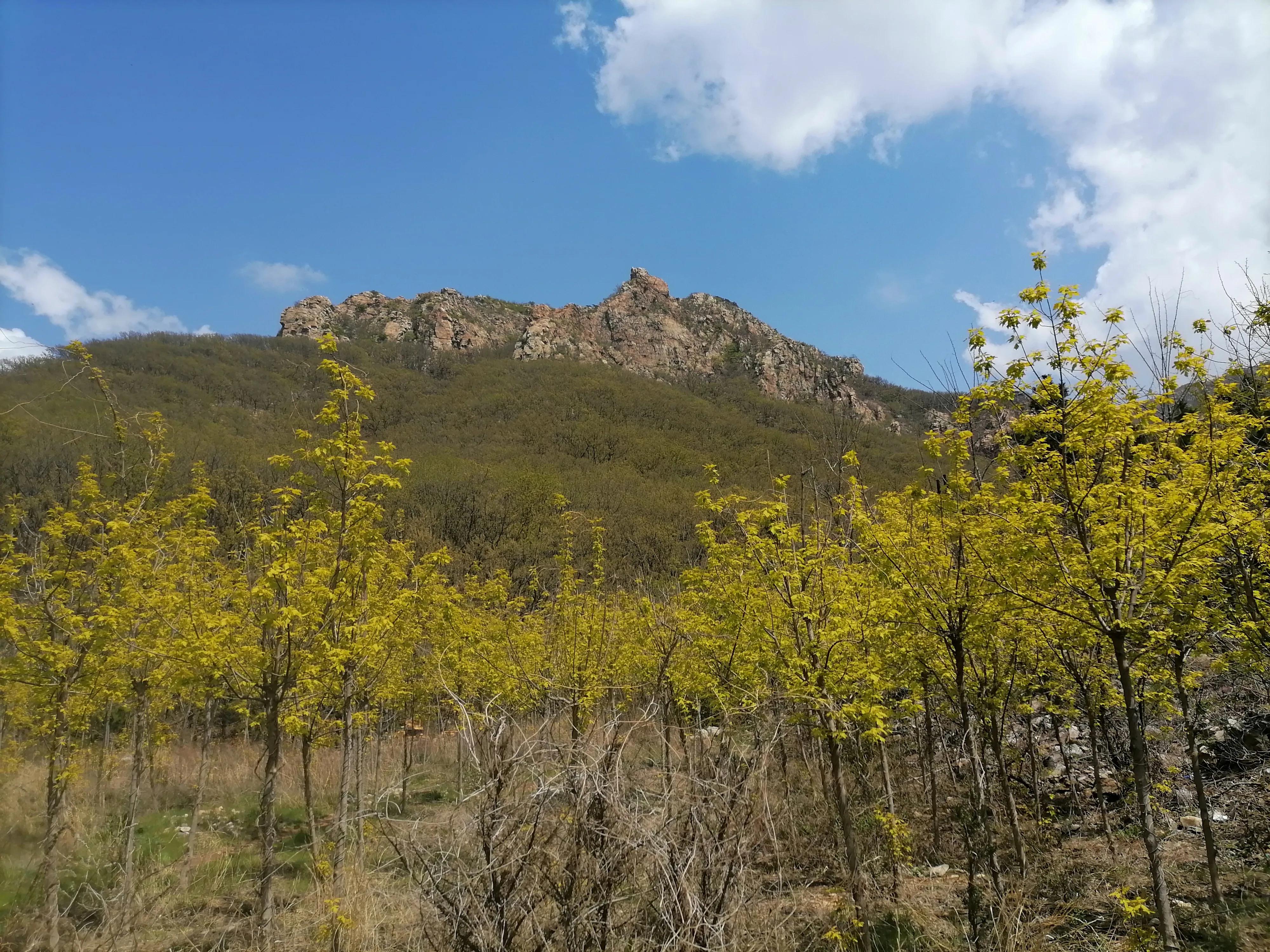 大连金州老城历史故事,大连金州历史故事