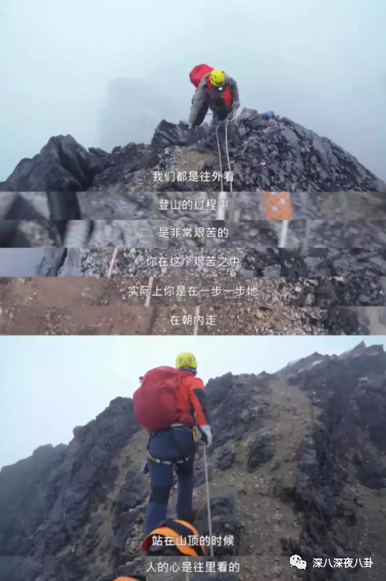 最新神仙综艺节目,2019高分冷门的良心综艺安利