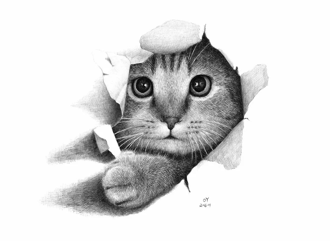 简单针管笔手绘花,简单易学针管笔手绘