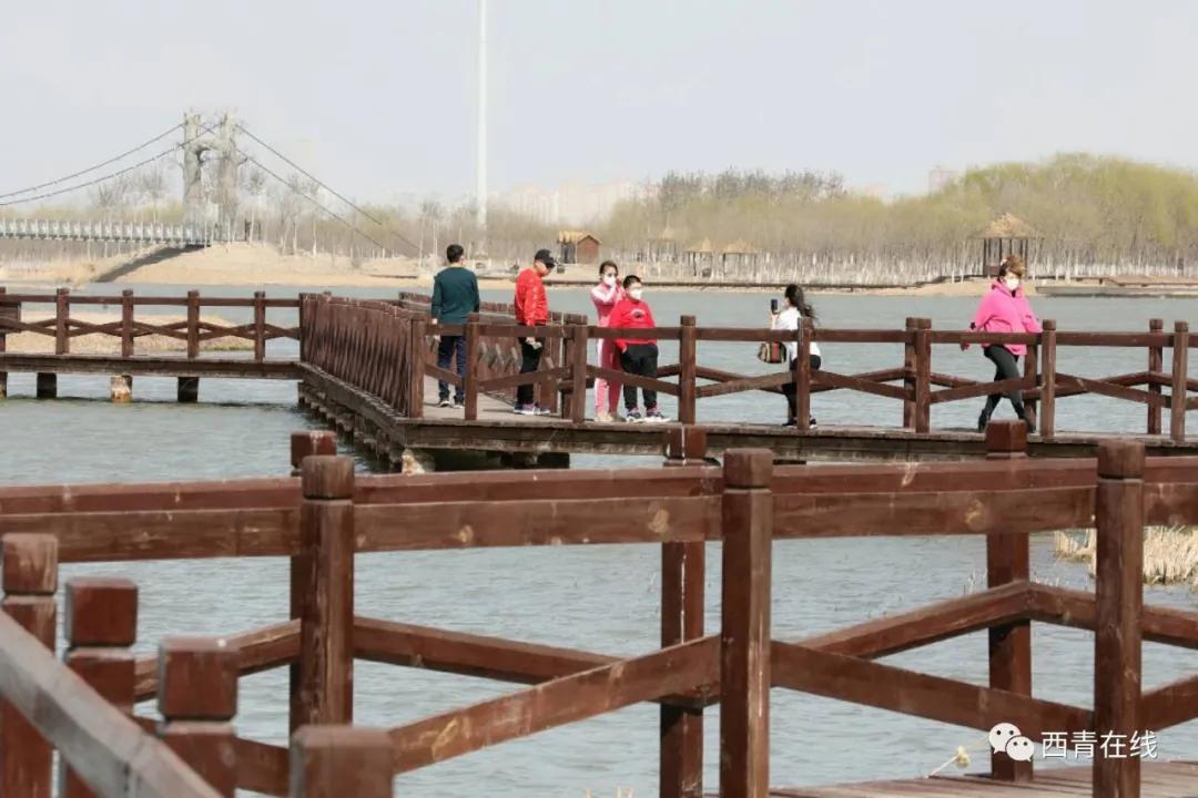 天津2022年四月开放的公园,期待天津这里将再添一片绿洲