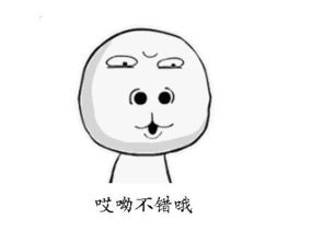 热血江湖邪枪连招,热血江湖邪枪打法