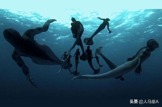 洛神水赋惊艳国外,洛神水赋获得成功的原因