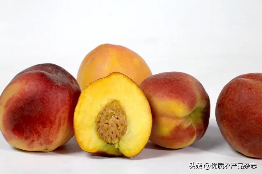 什么种类的黄桃最好吃又甜,鲜食黄桃品种哪个最好吃