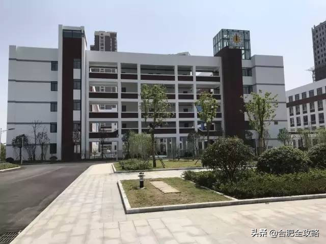 合肥市开学,合肥各校开学时间