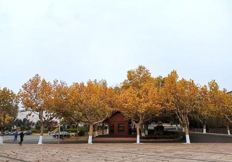 大连海事大学辽宁省大学排名,孔峰辽宁省教育厅大连海事大学