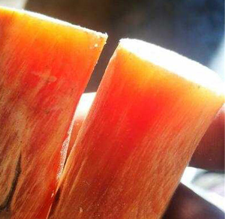 东北有什么手串,东北手串有哪些品种